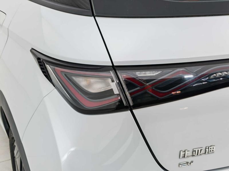 BYD dolphin 2021