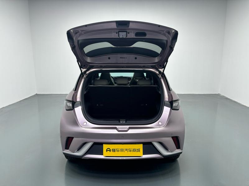 BYD dolphin 2023