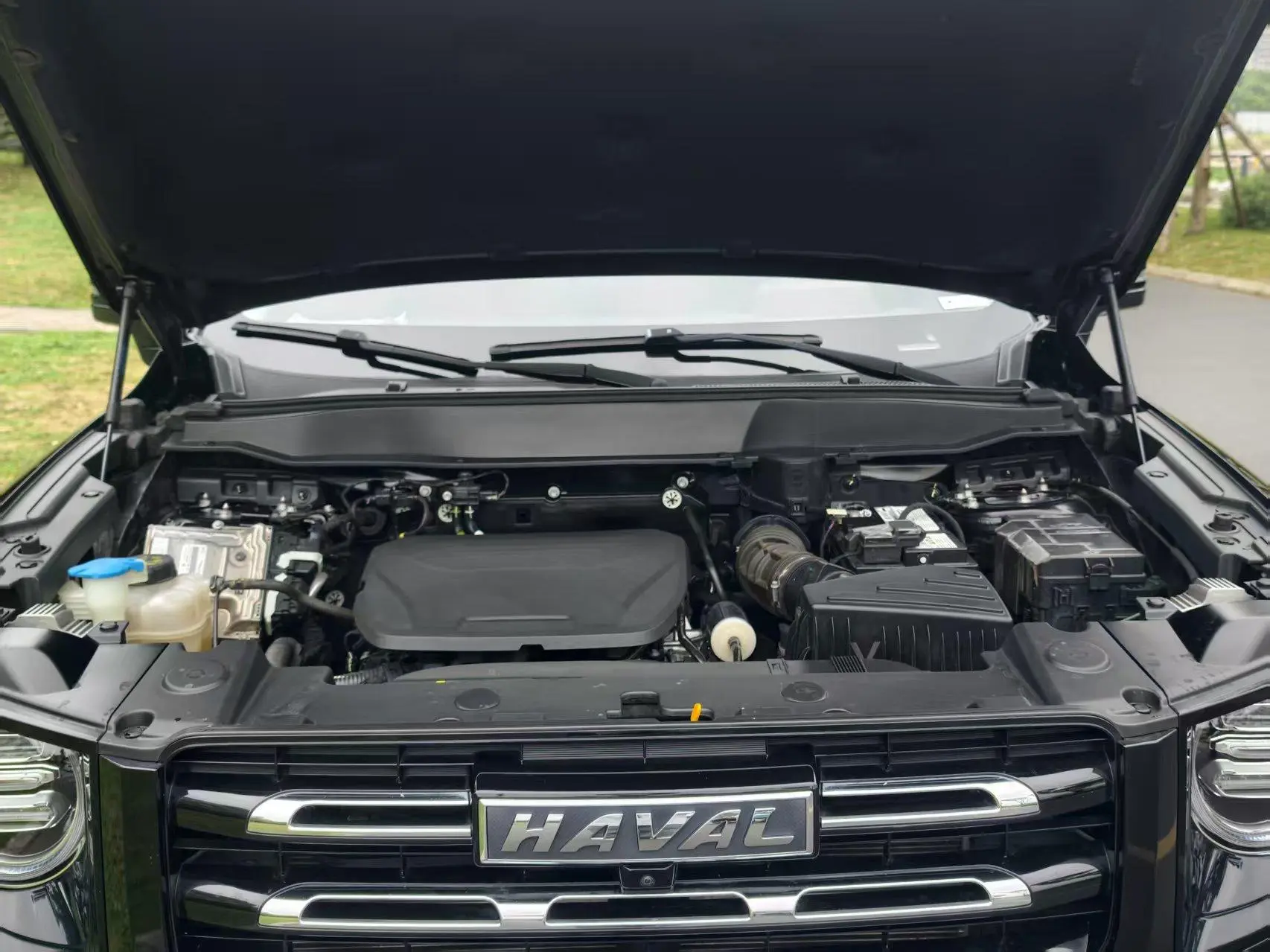 Haval Haval Big Dog 1.5T two-wheel drive side shepherd version