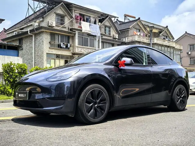 Tesla Model Y Rear-wheel drive version