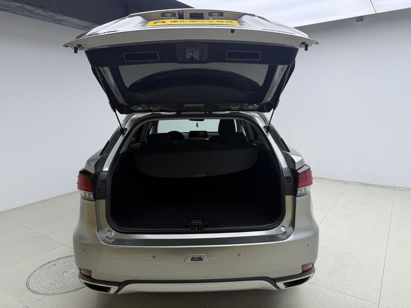 Lexus Lexus RX 2020