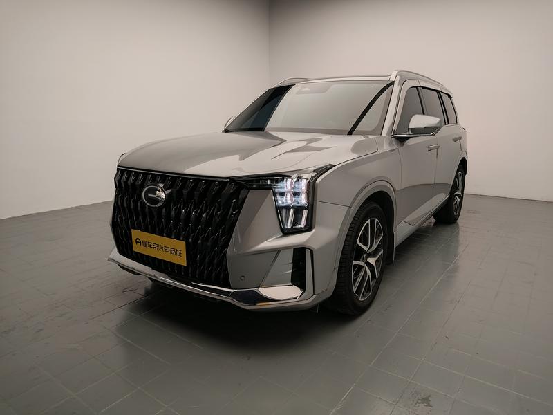 Trumpchi Trumpchi GS8 2024