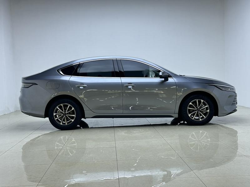 BYD Destroyer 05 2024