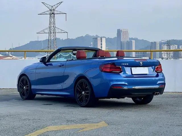 BMW BMW 2 Series (imported) 225i Convertible Coupe Exclusive M Sports Suit