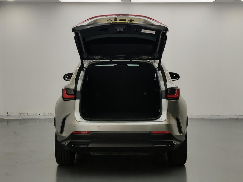 Lexus Lexus NX 2022