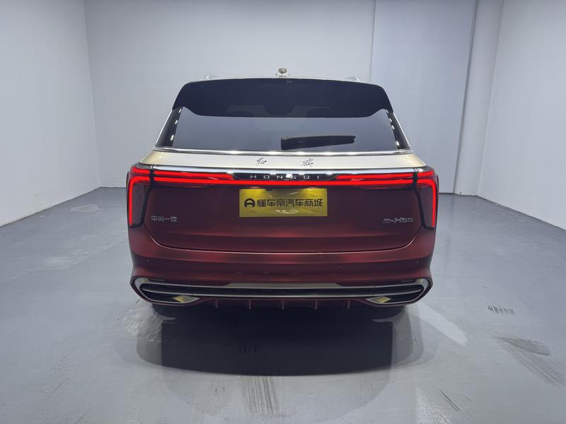 Hongqi Red Flag E-HS9 2020