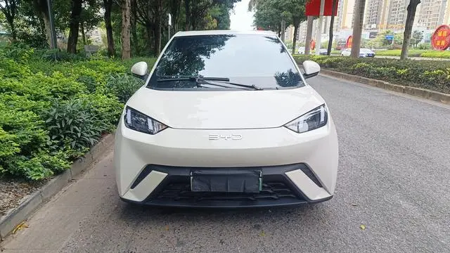 BYD Seagull 305KM Vitality Edition