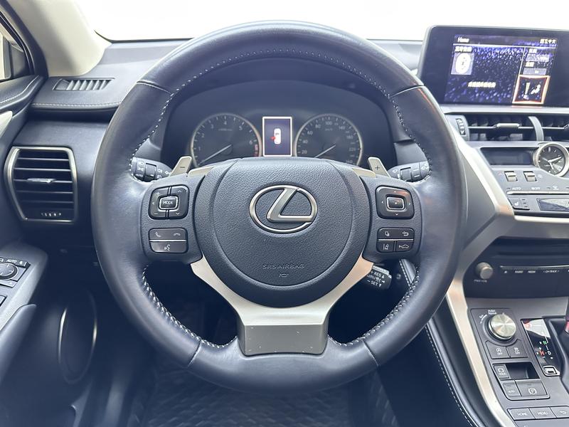 Lexus Lexus NX 2020