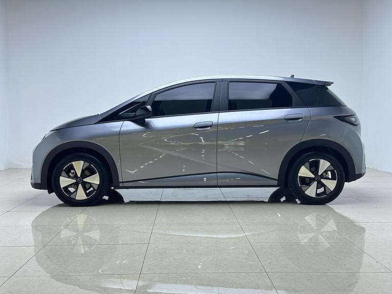 BYD dolphin 2023