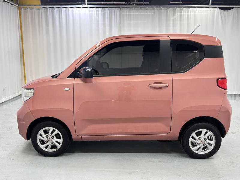 Wuling Wuling Hongguang MINIEV 2020