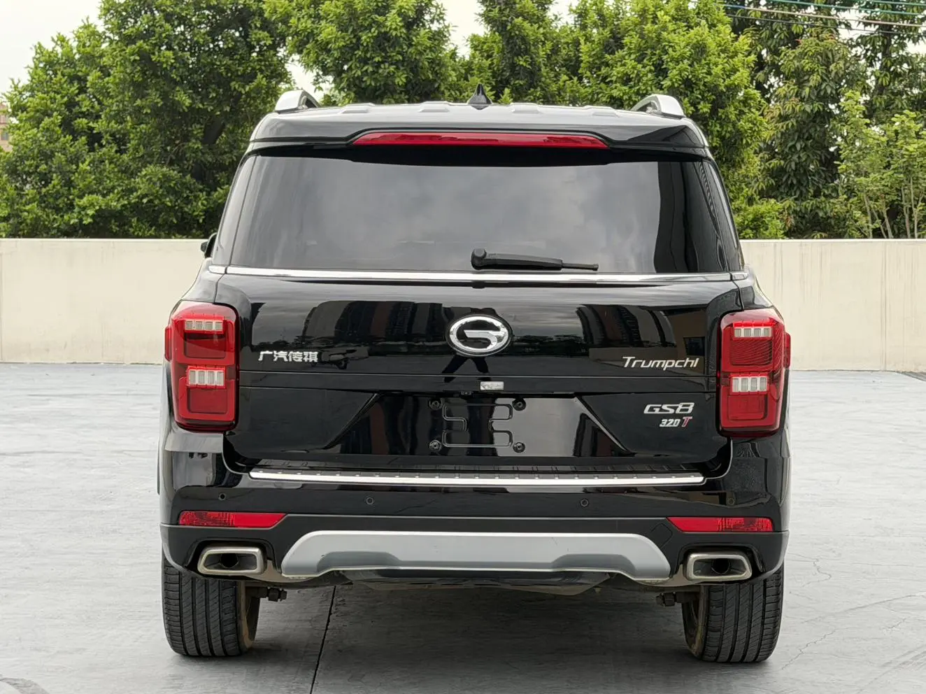 GAC Trumpchi GS8 320T two-wheel drive premium edition 7 seats
