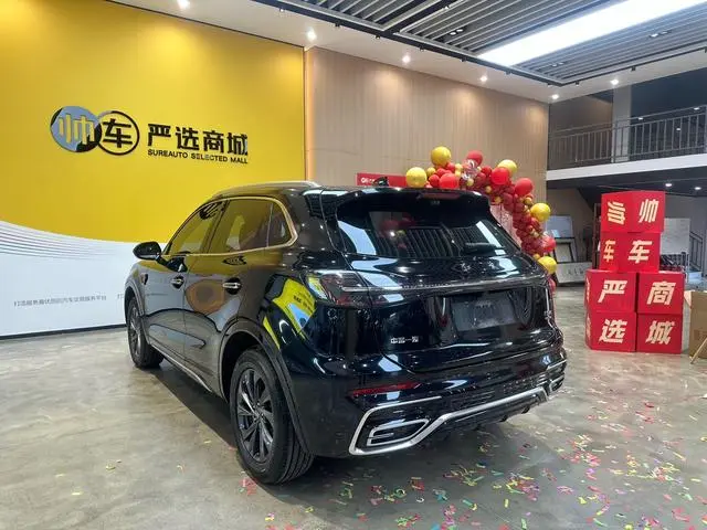 Hongqi Hongqi HS5 2.0T Qixiang Pro 500,000 Commemorative Edition