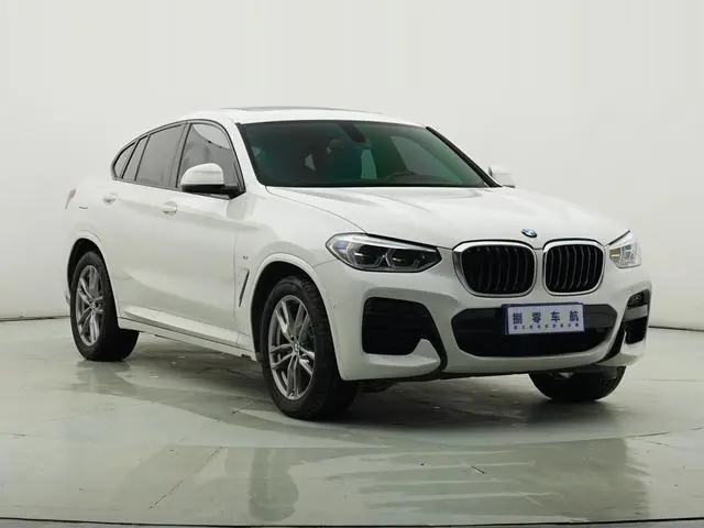 BMW BMW X4 xDrive25i M sports suit