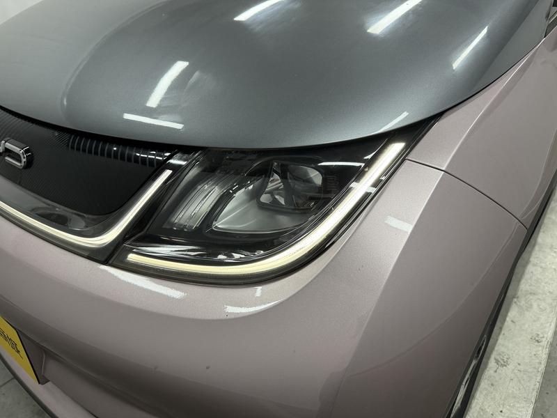 BYD dolphin 2021