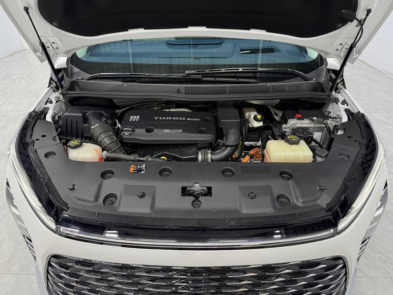 Buick Buick GL8 PHEV 2024