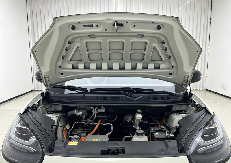 Wuling Wuling Binguo 2023