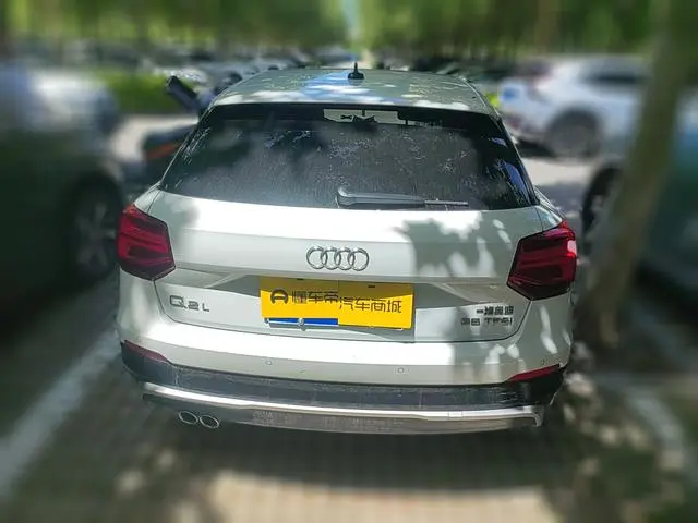 Audi Audi Q2L 35TFSI aggressive dynamic type