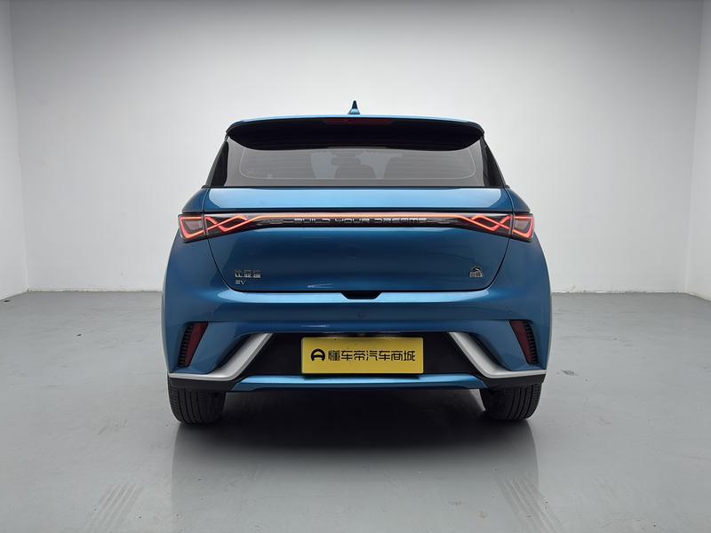 BYD dolphin 2021