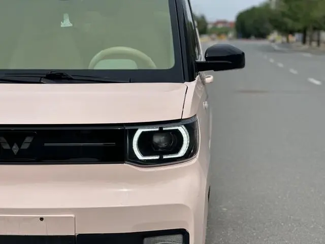 Wuling Wuling Hongguang MINIEV Macaron Premium Lithium Iron Phosphate