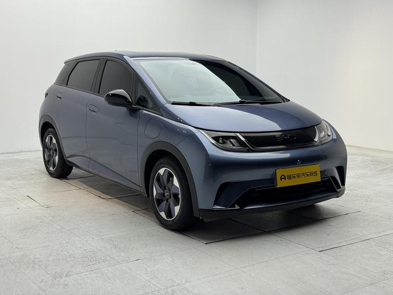 BYD dolphin 2025