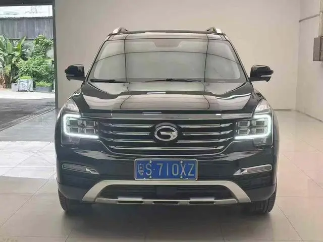 GAC Trumpchi GS8 320T two-wheel drive luxury Zhilian Edition 7 seats