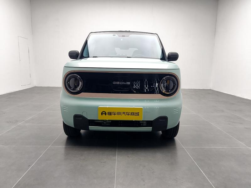 Geely Galaxy panda 2024