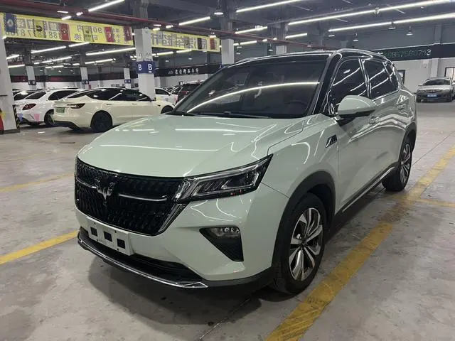 Wuling Wuling Xingchen 1.5T automatic star Obsidian version