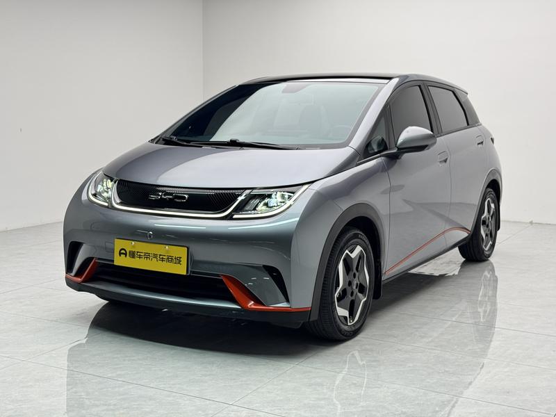 BYD dolphin 2021