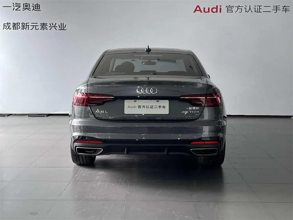 Audi Audi A4L 40 TFSI luxury Dynamic Type
