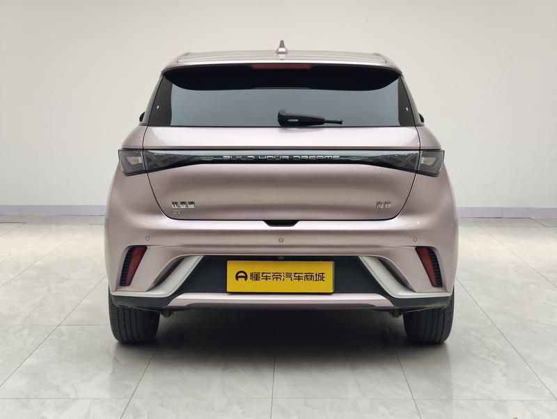 BYD dolphin 2024