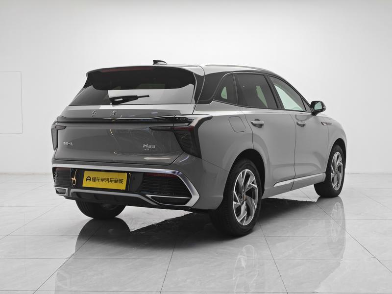 Hongqi Hongqi HS3 2023