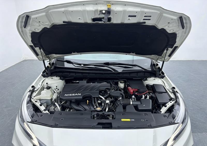 Nissan Sounds of Nature 2021