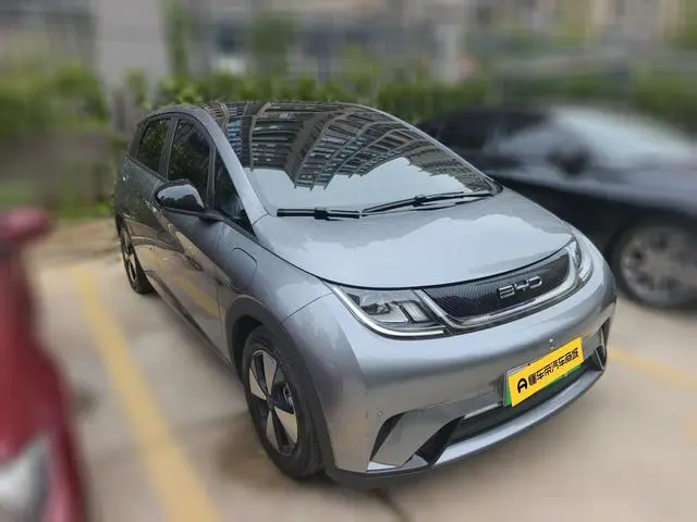 BYD dolphin Fashion edition