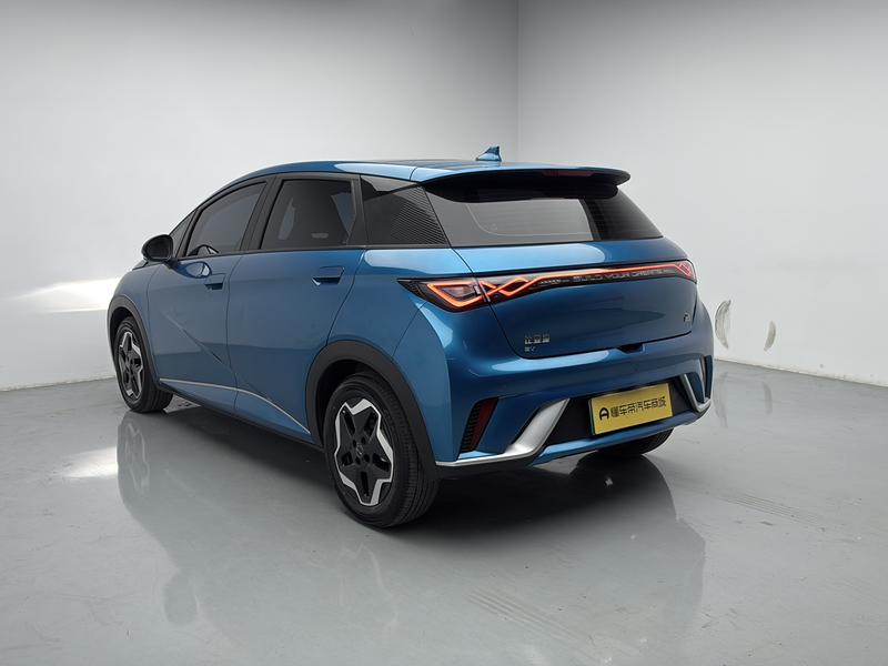 BYD dolphin 2021