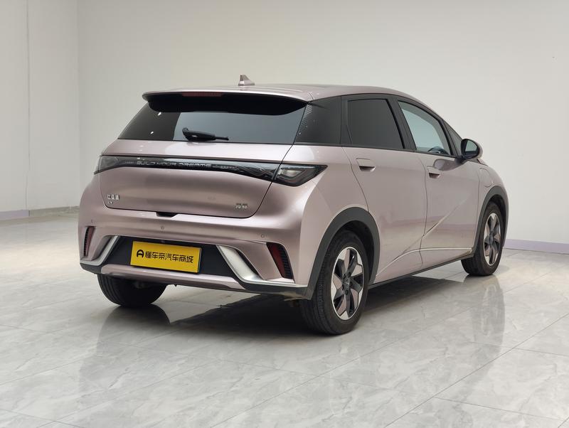 BYD dolphin 2024