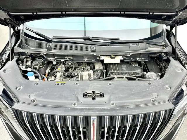 Hongqi Hongqi HQ9 PHEV Four-wheel drive Deluxe Edition