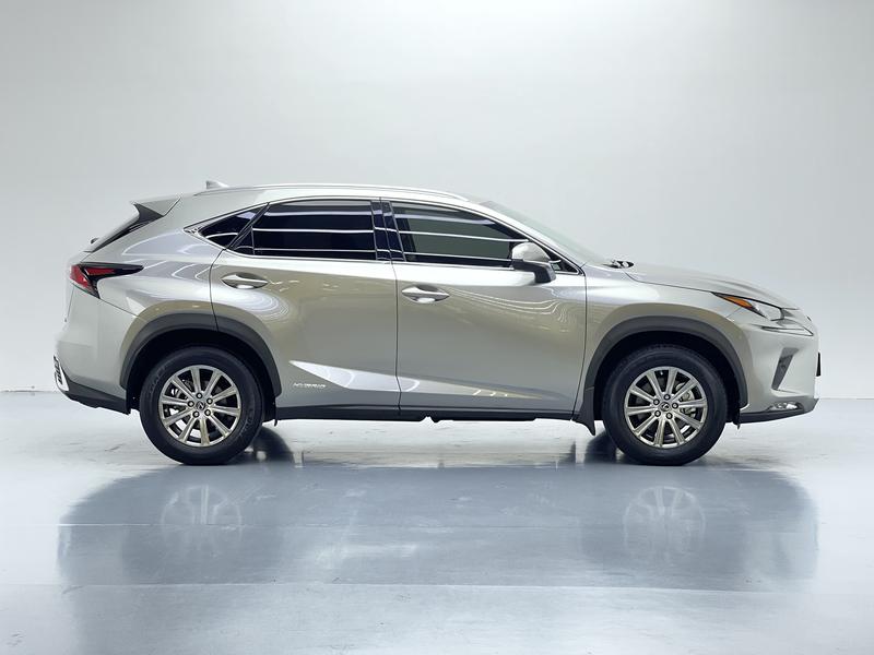 Lexus Lexus NX 2020