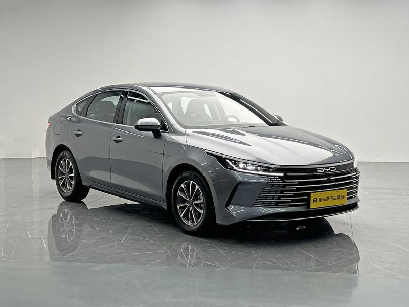 BYD Destroyer 05 2024