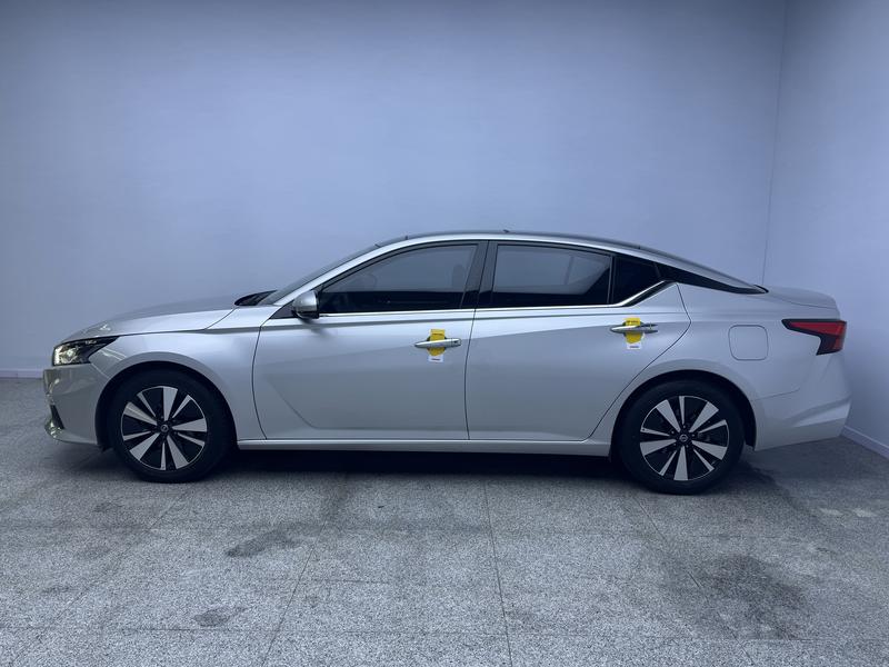 Nissan Sounds of Nature 2021