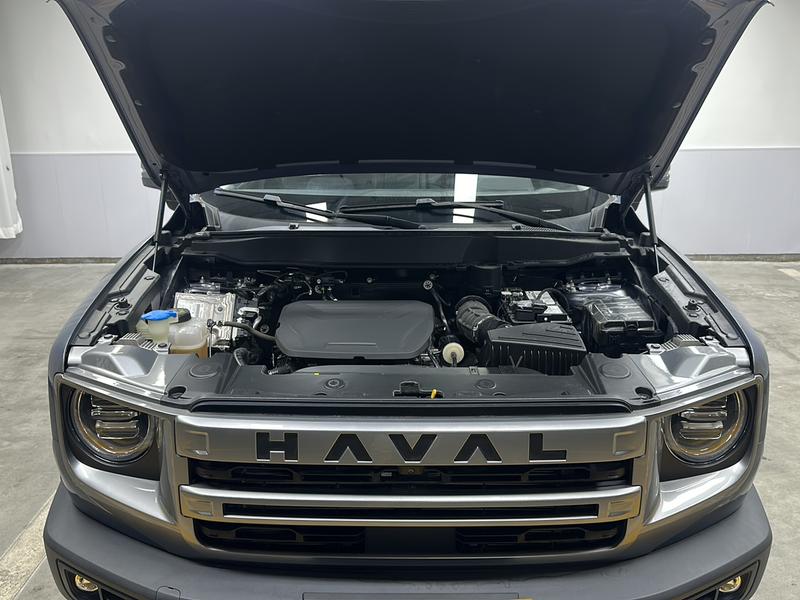 Haval Haval Big Dog 2024