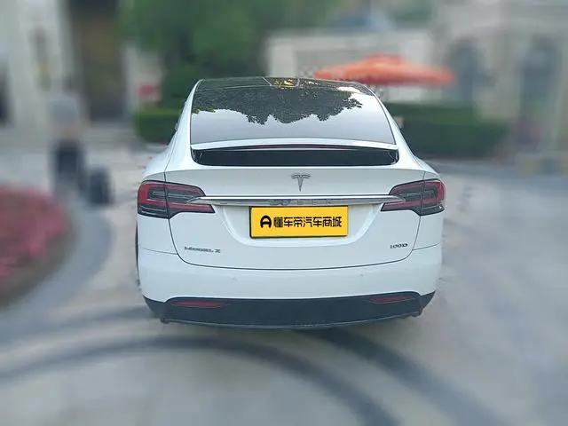 Tesla Model X 100D long battery life version