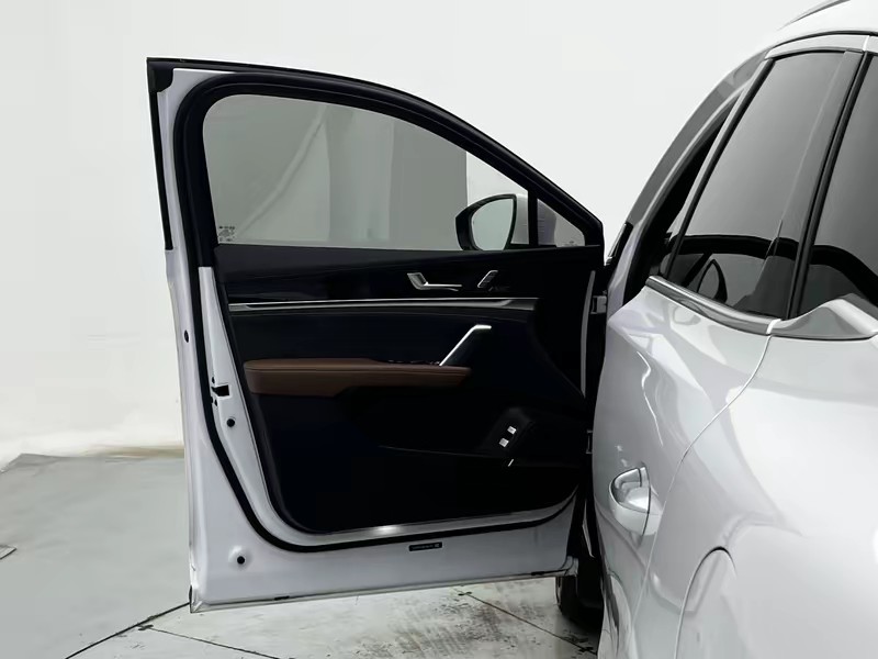 BYD Tang DM 2021