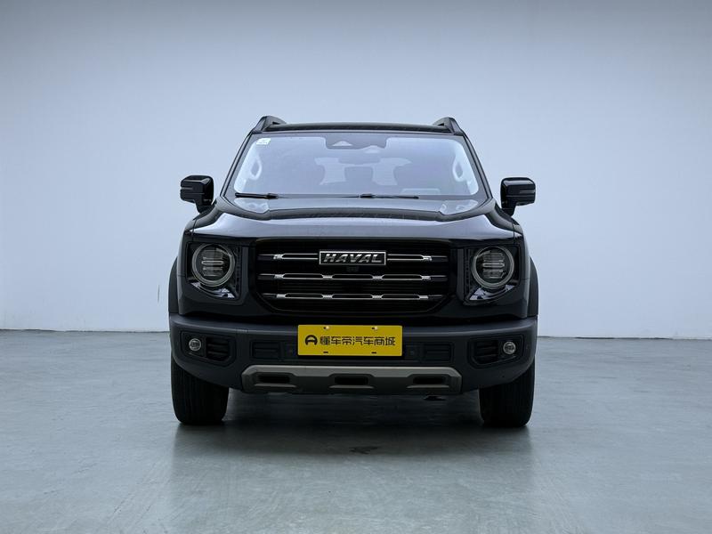 Haval 长城大狗 2021