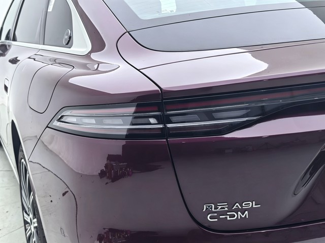 Fengyun Fengyun A9L 2025