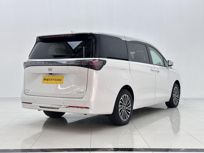 Buick Buick GL8 PHEV 2025