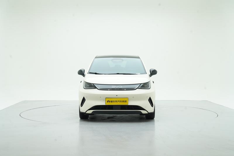 BYD dolphin 2025