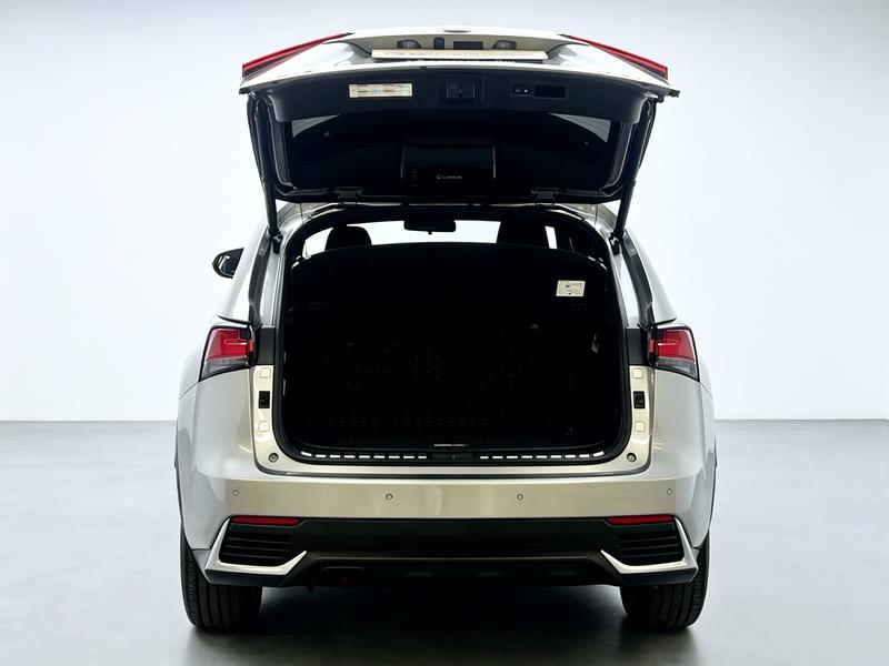Lexus Lexus NX 2020
