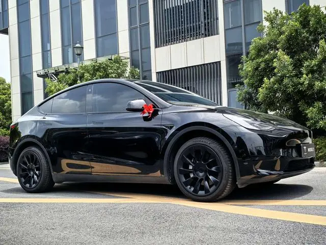 Tesla Model Y Rear-wheel drive version