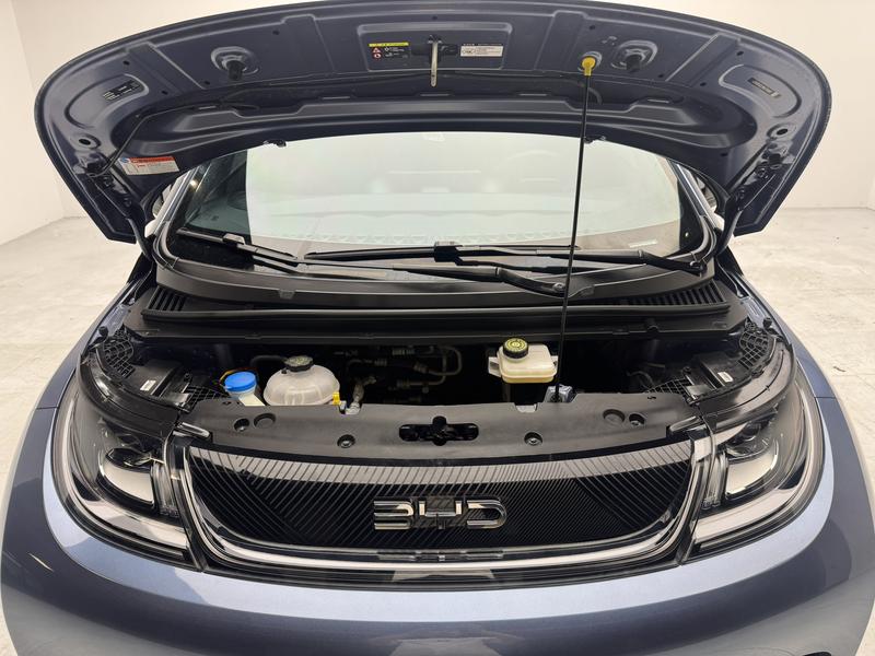 BYD dolphin 2025