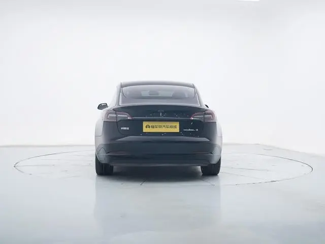 Tesla Model 3 Performance high-performance all-wheel drive version 3D3/3D1